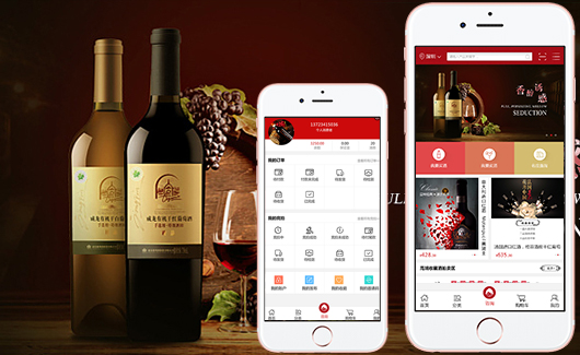 APP開(kāi)發案列